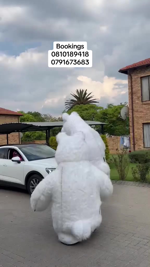 @Mascots in joburg