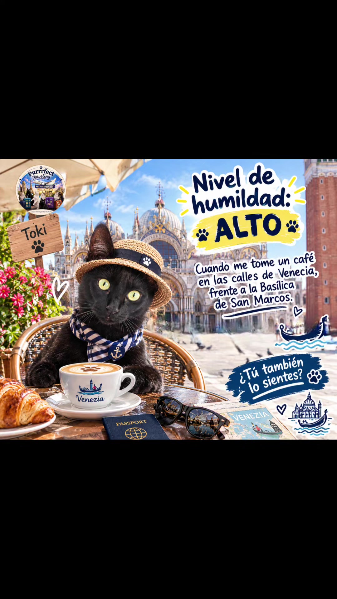 @Purrrfect Traveling