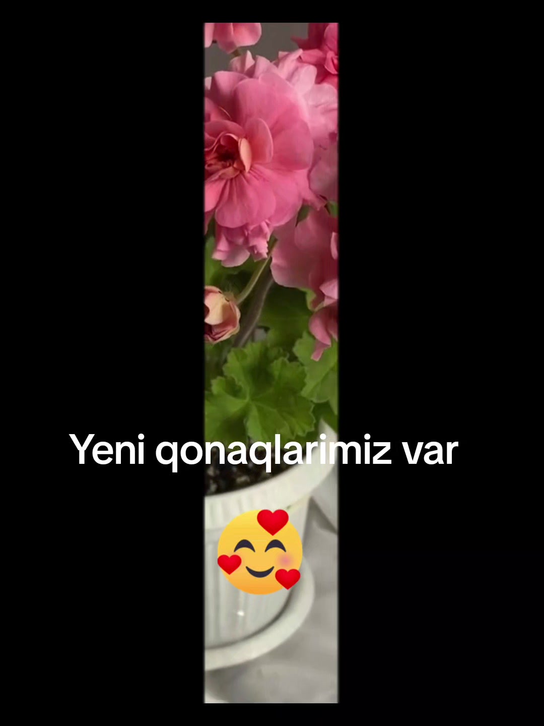 @Gül satışı🌸