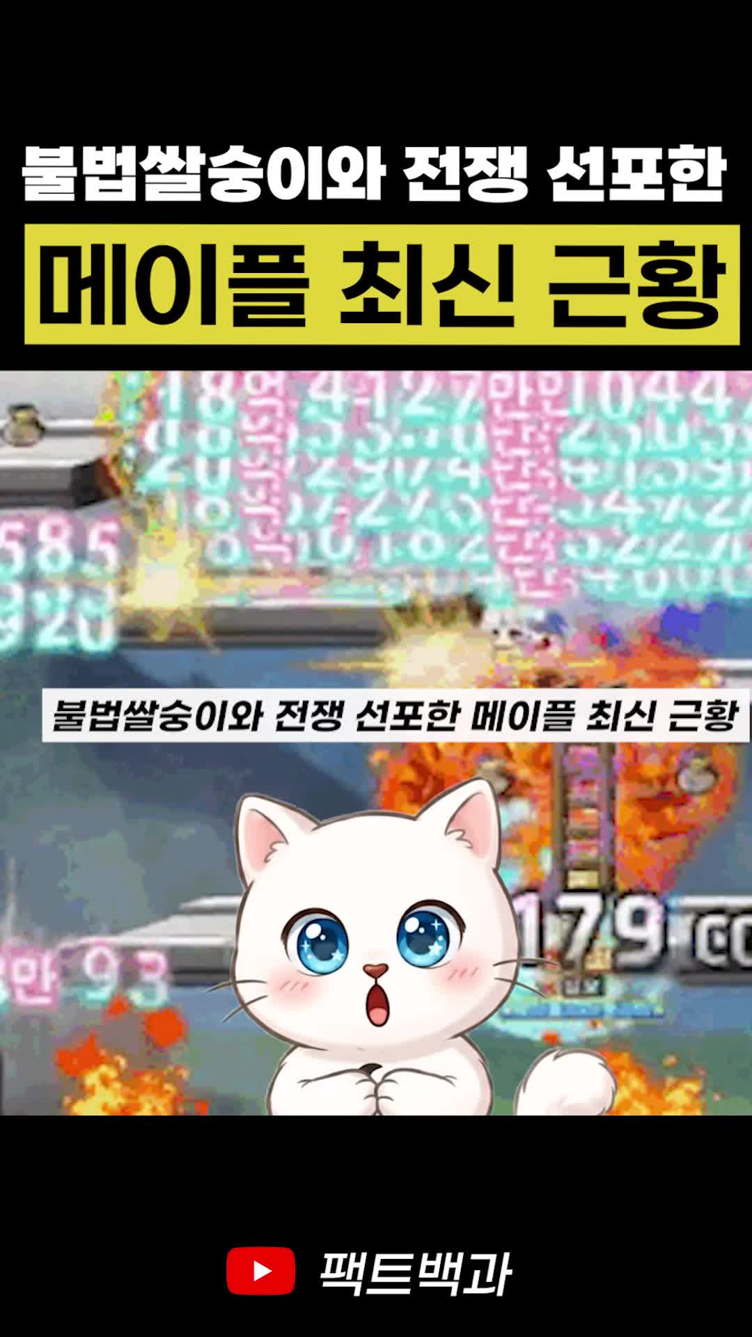 @인물백과