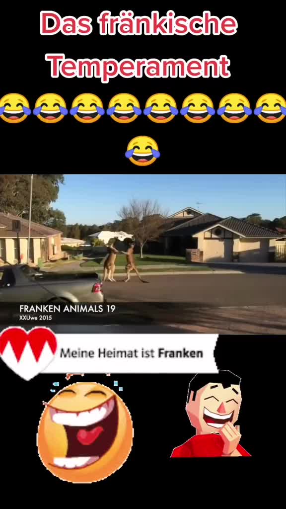 @🐗Fr&auml;nkischer-Rampen- Eber🐗