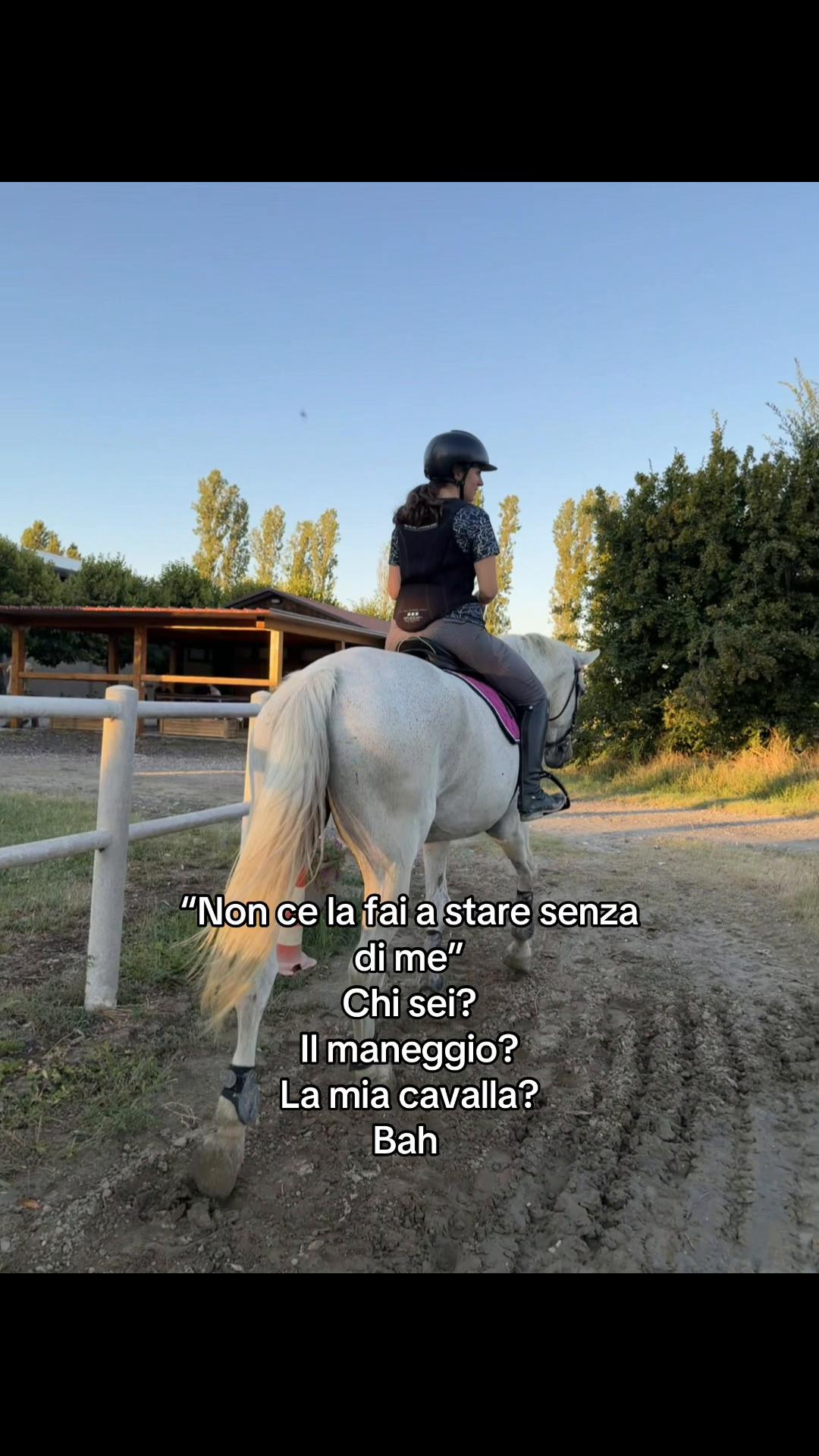 @Marta 🐴