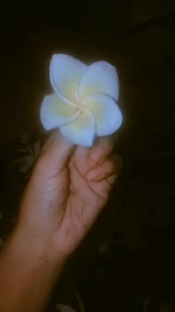 @Nafiya islam