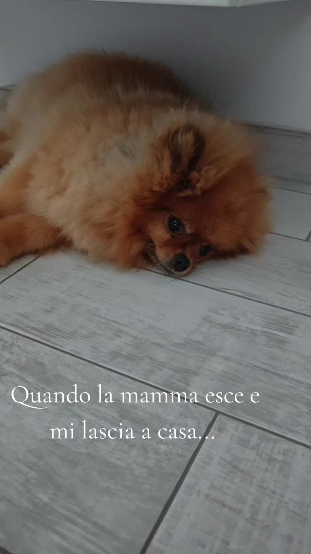 @Nicoletta 🥰