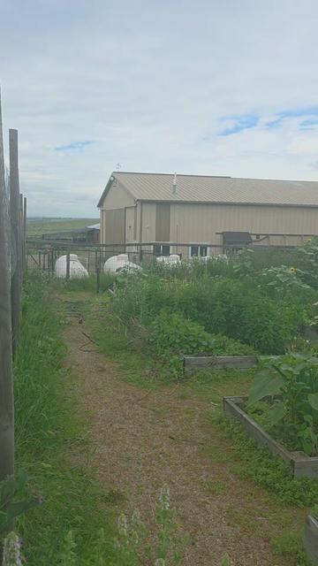 @Flint_❌ARRR Rescue Ranch