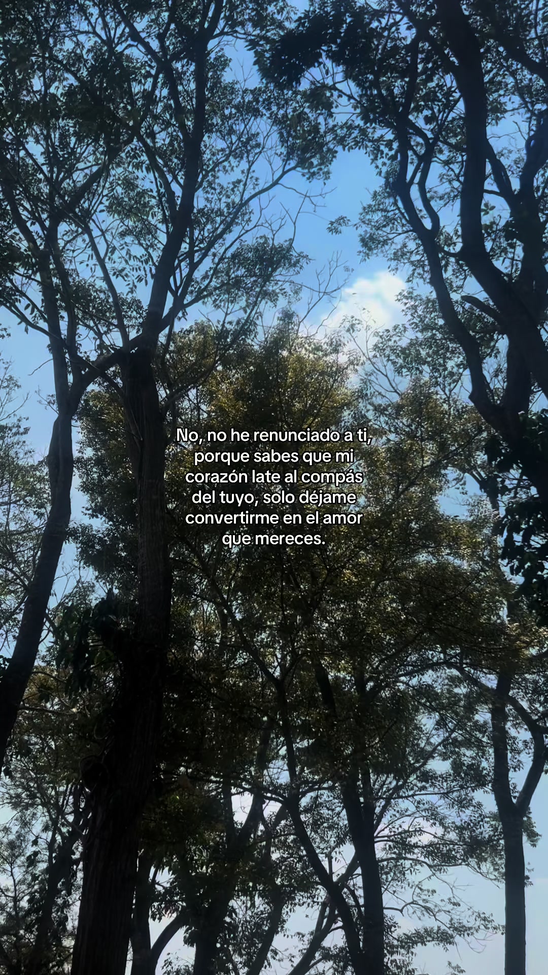 @ℒ𝒶 𝓅𝓁𝒶𝓃𝓉𝒾𝓉𝒶🌱
