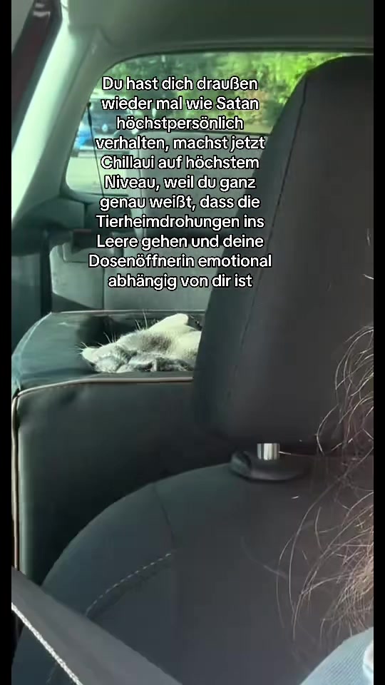 @Der Bommelboss &hearts;️