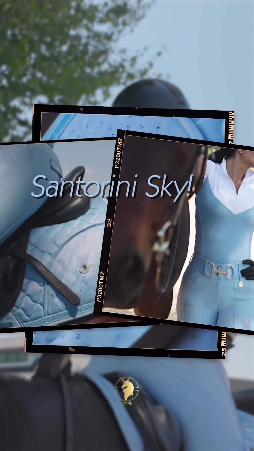 @Sync Equestrian