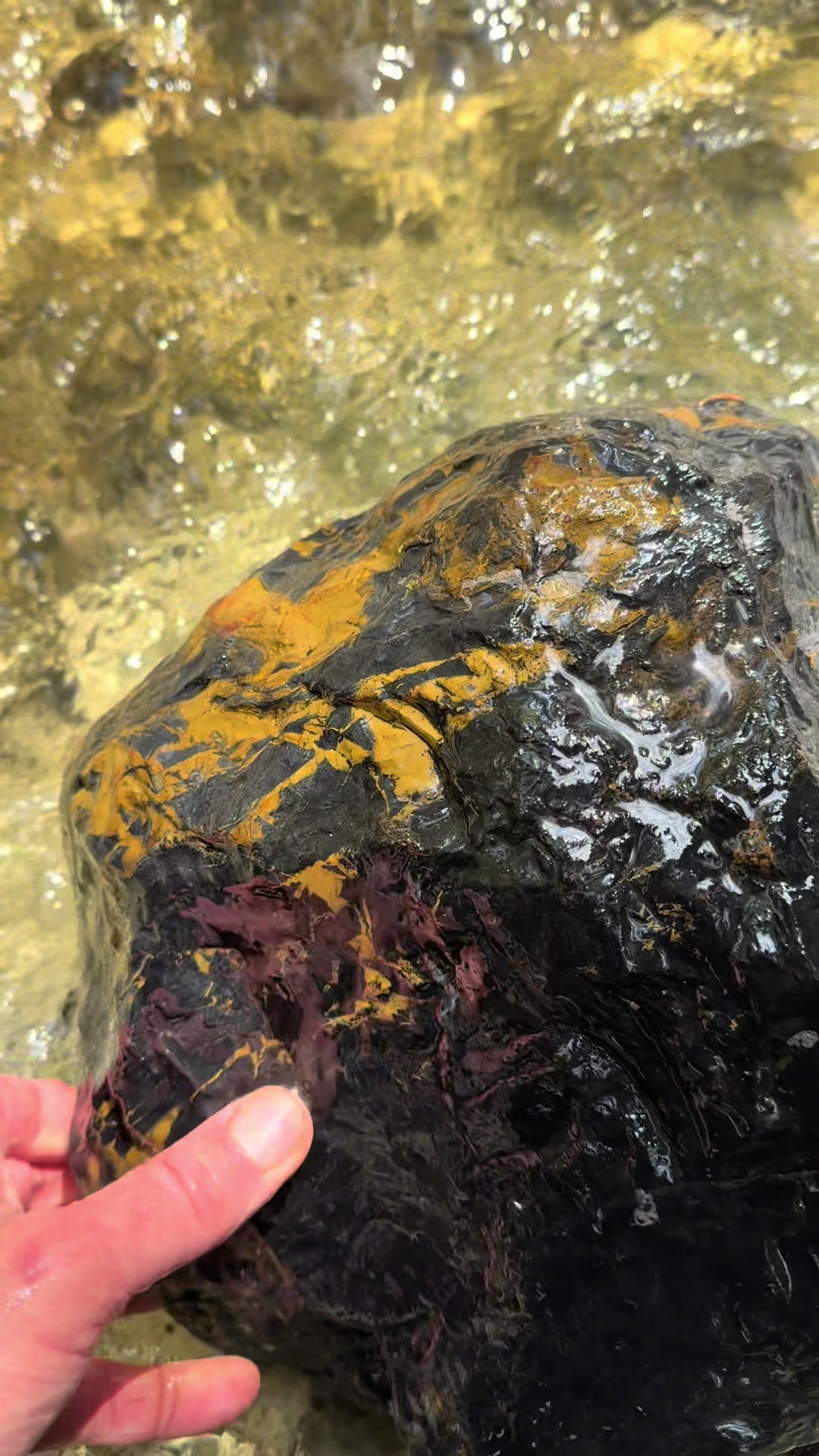 @❌ The Stone Zone ❌