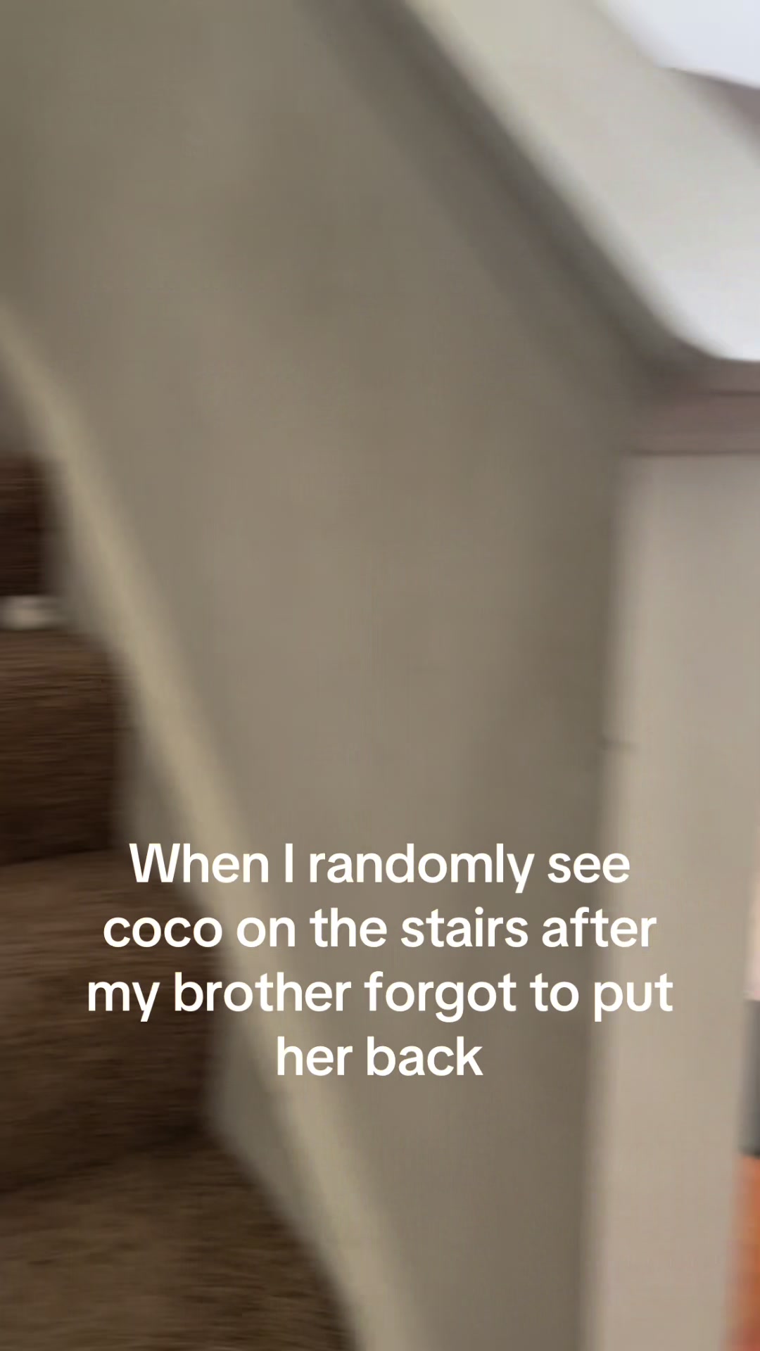 @MoChi&CoCo