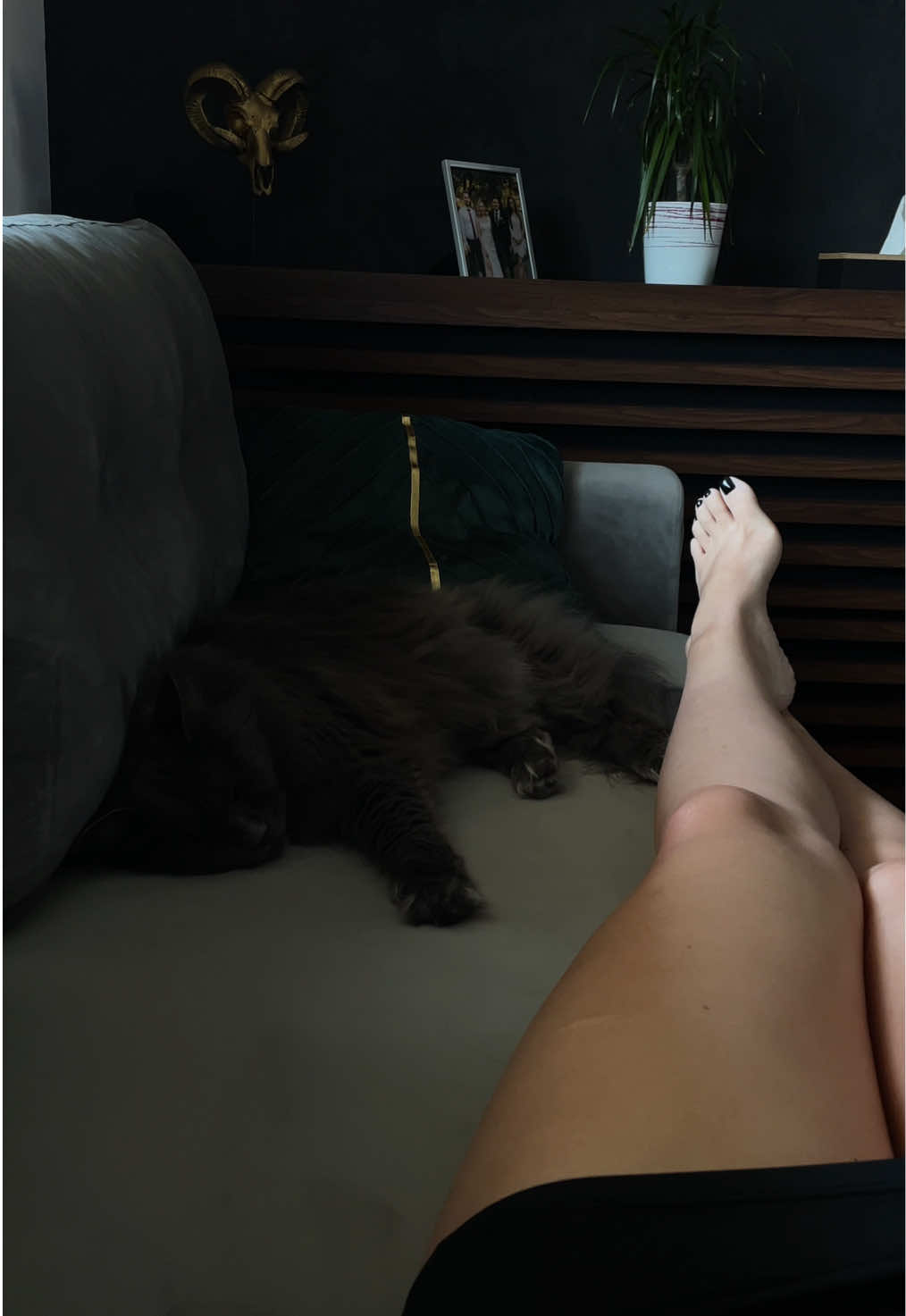 @Aleksandraall