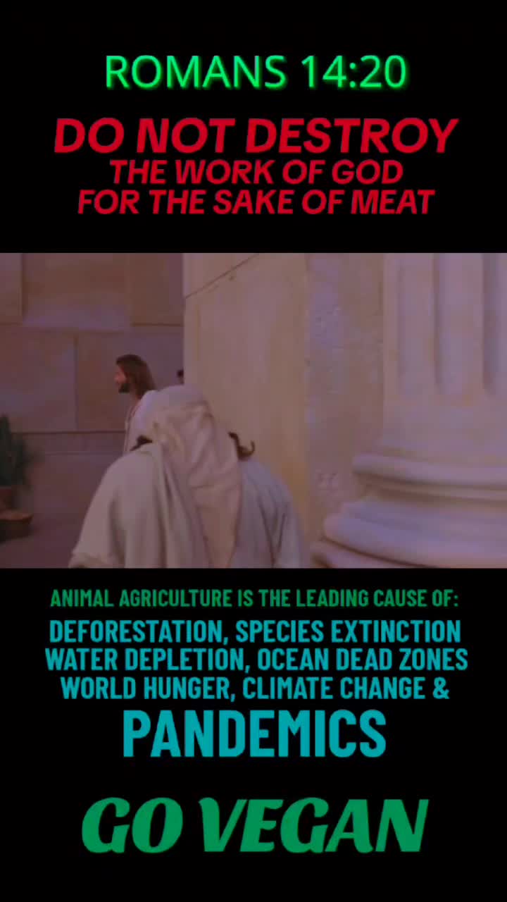 @veganssave