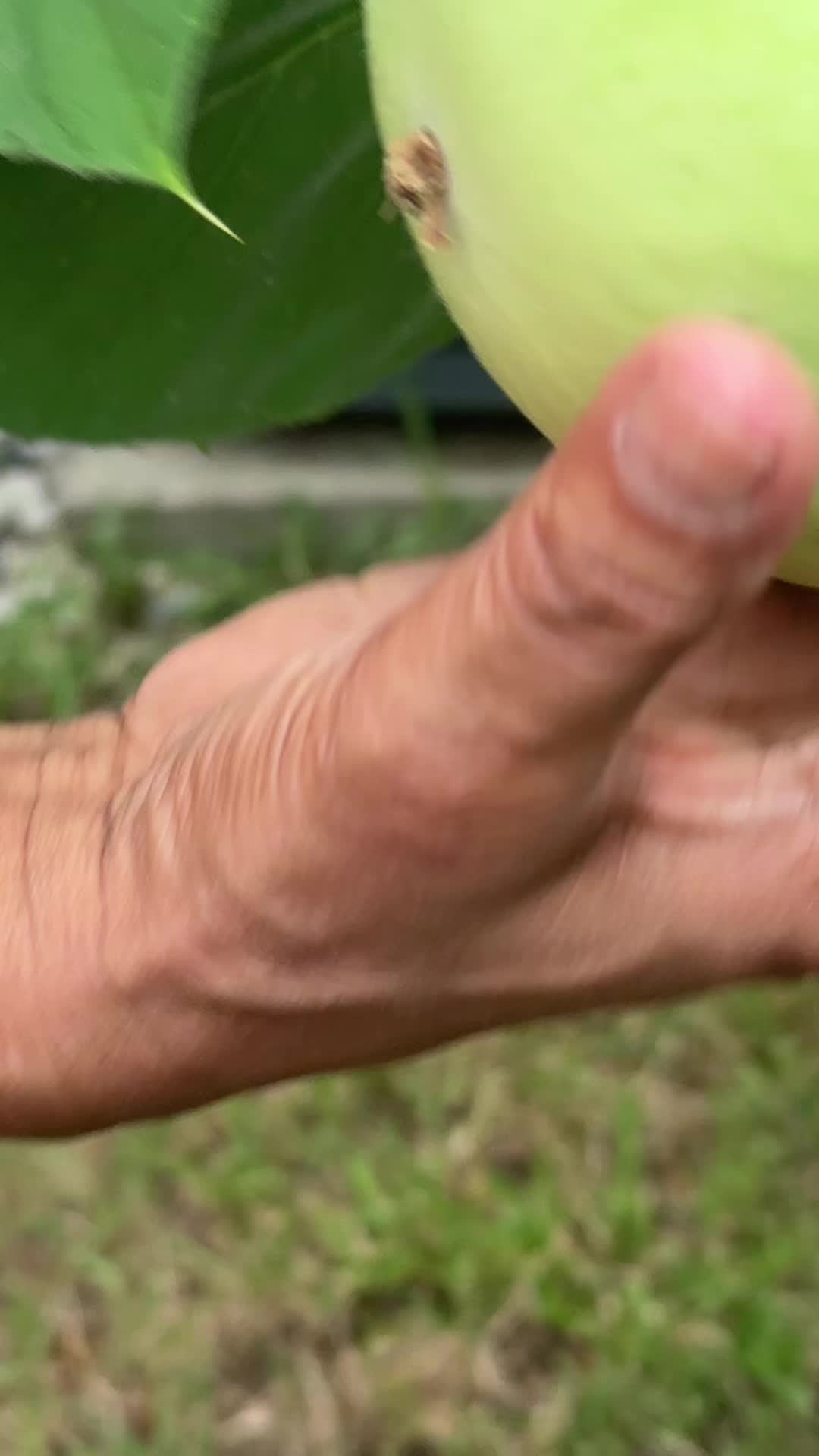 @LG
