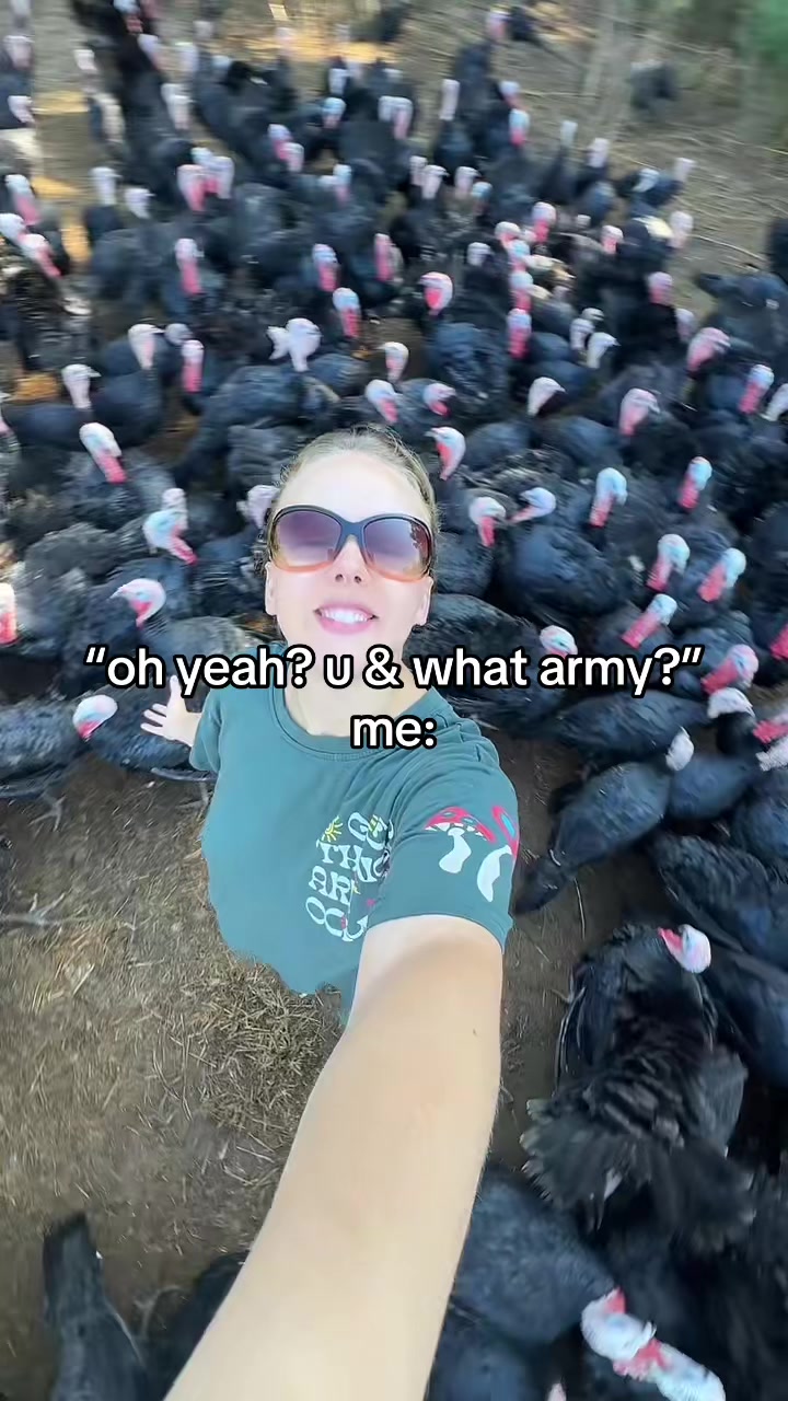@farmerandtheharpiist