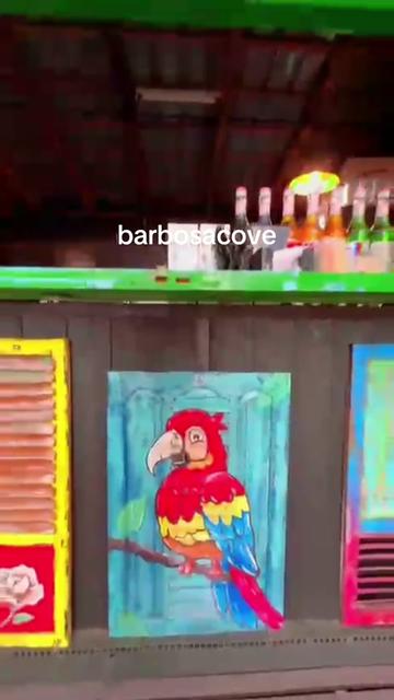 @barbosacove