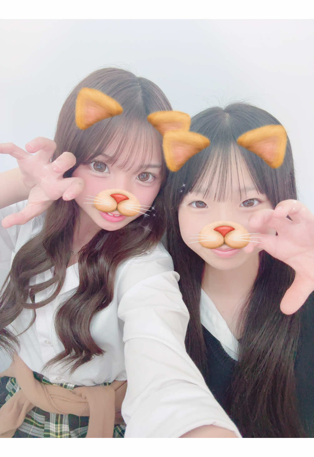 @๐ฒ๐๐๐๐๐ข๐