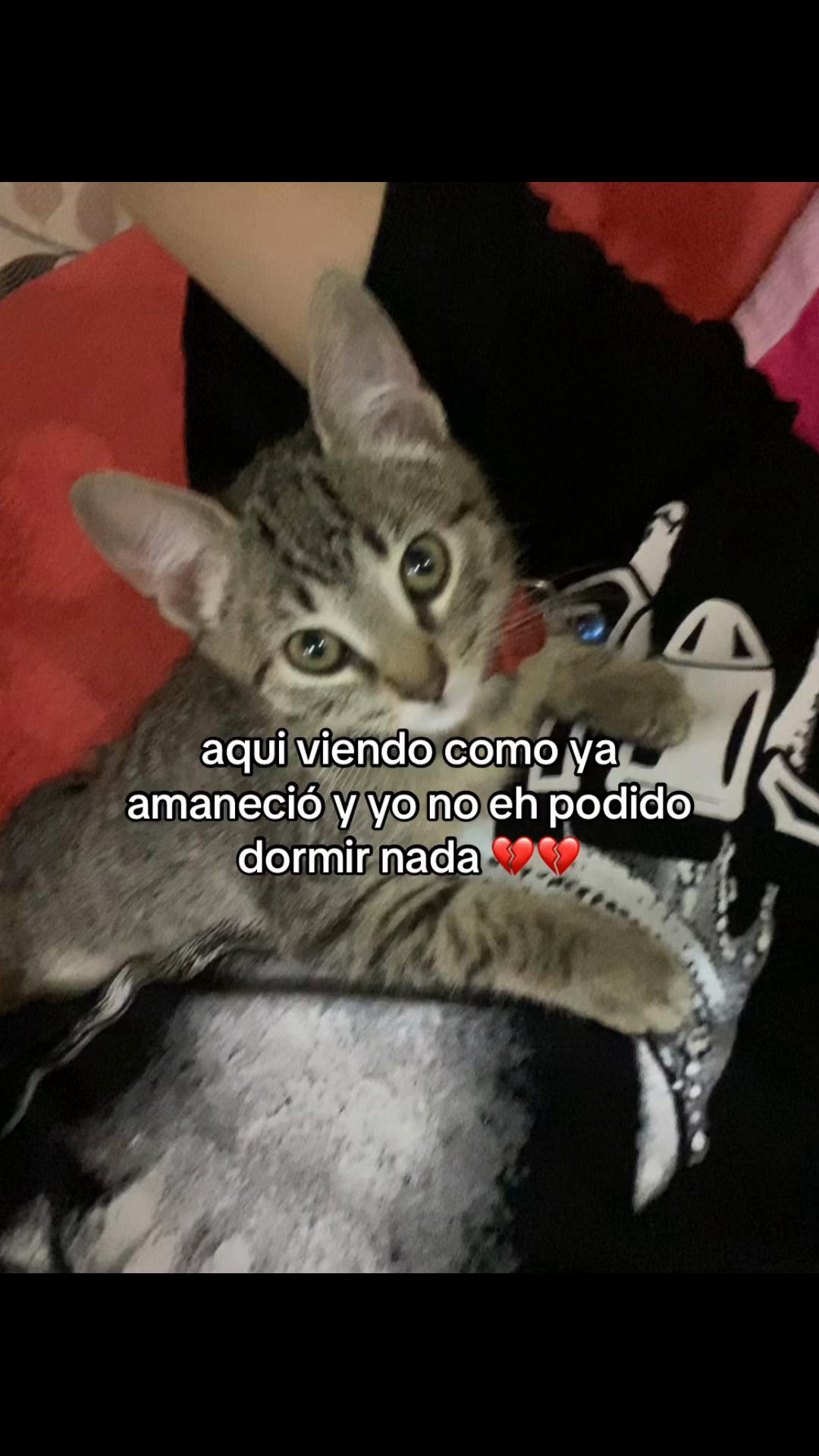 @loL