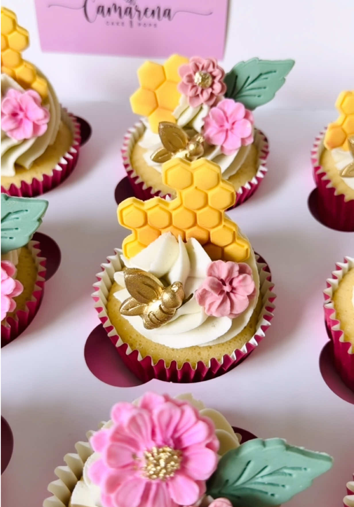 @Camarena CakePops
