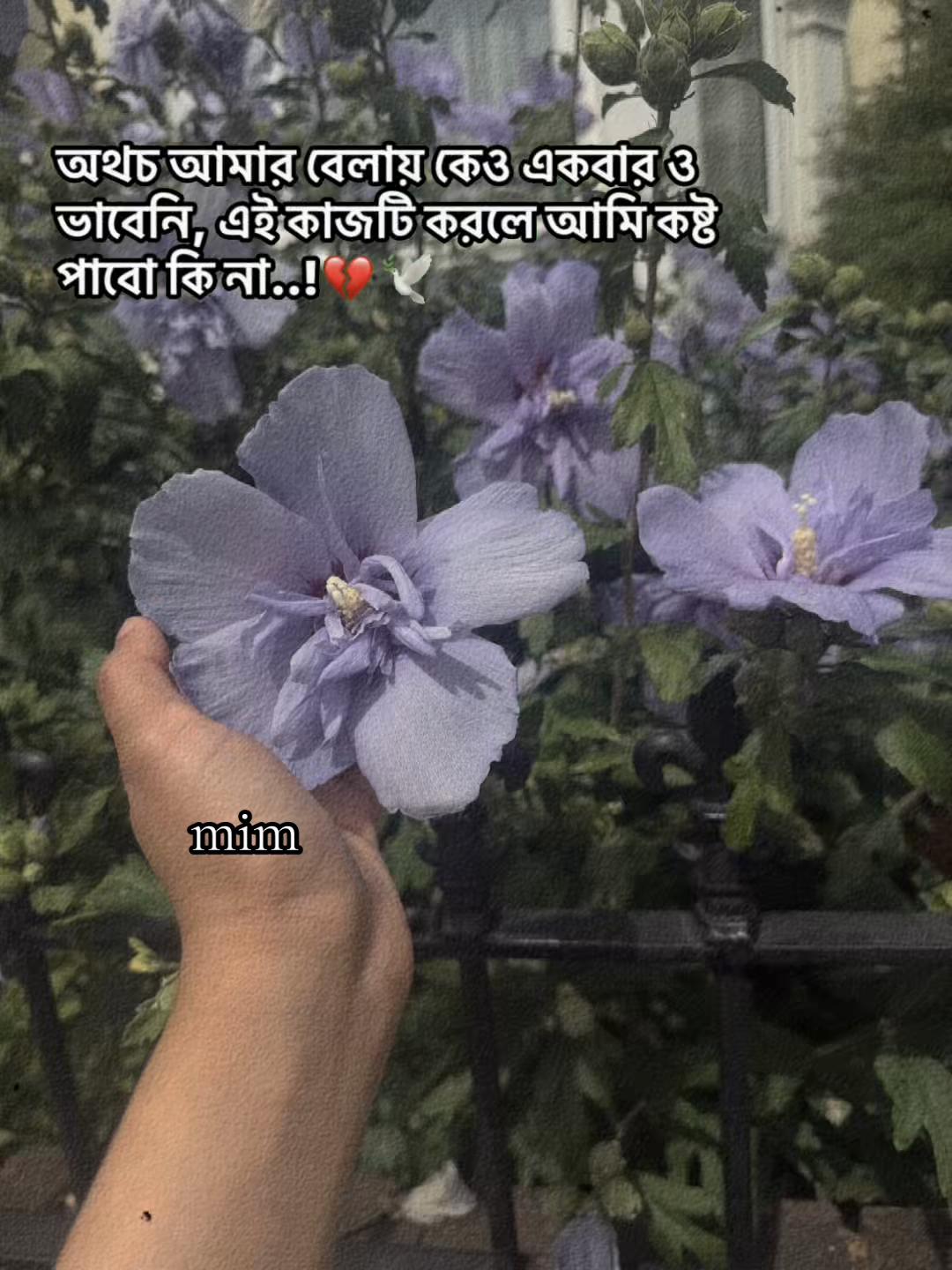 @ميم أختر _٢٤٢٨