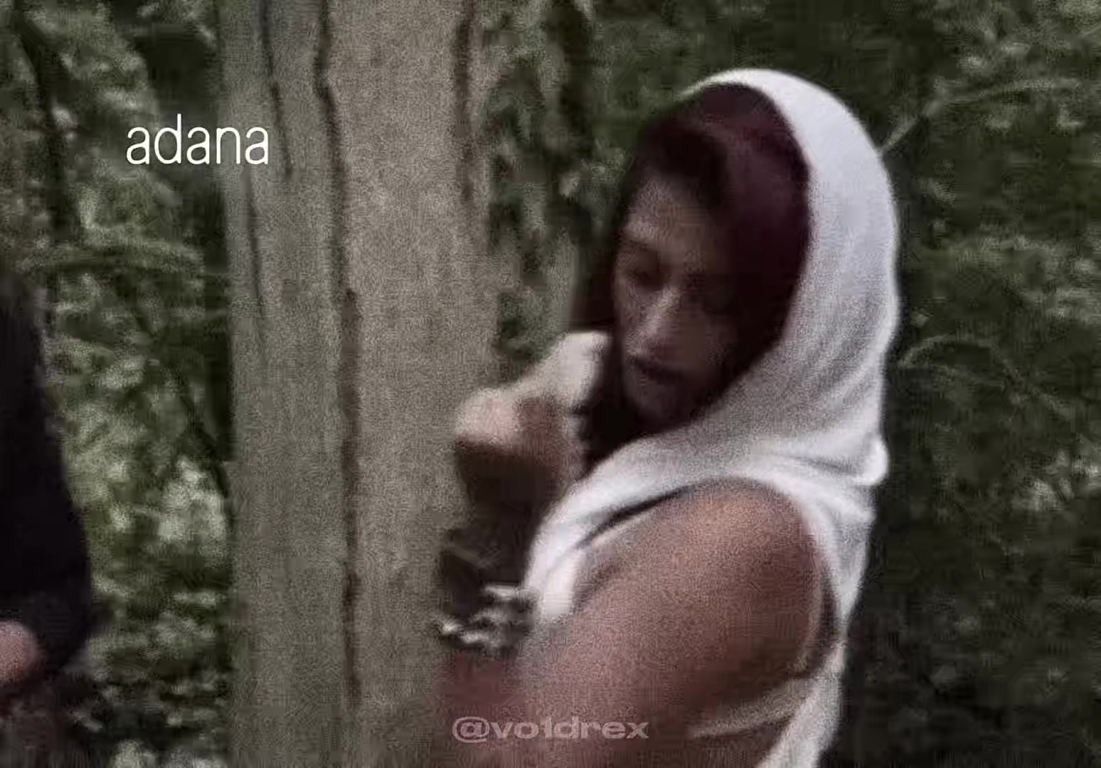 @VoidRex