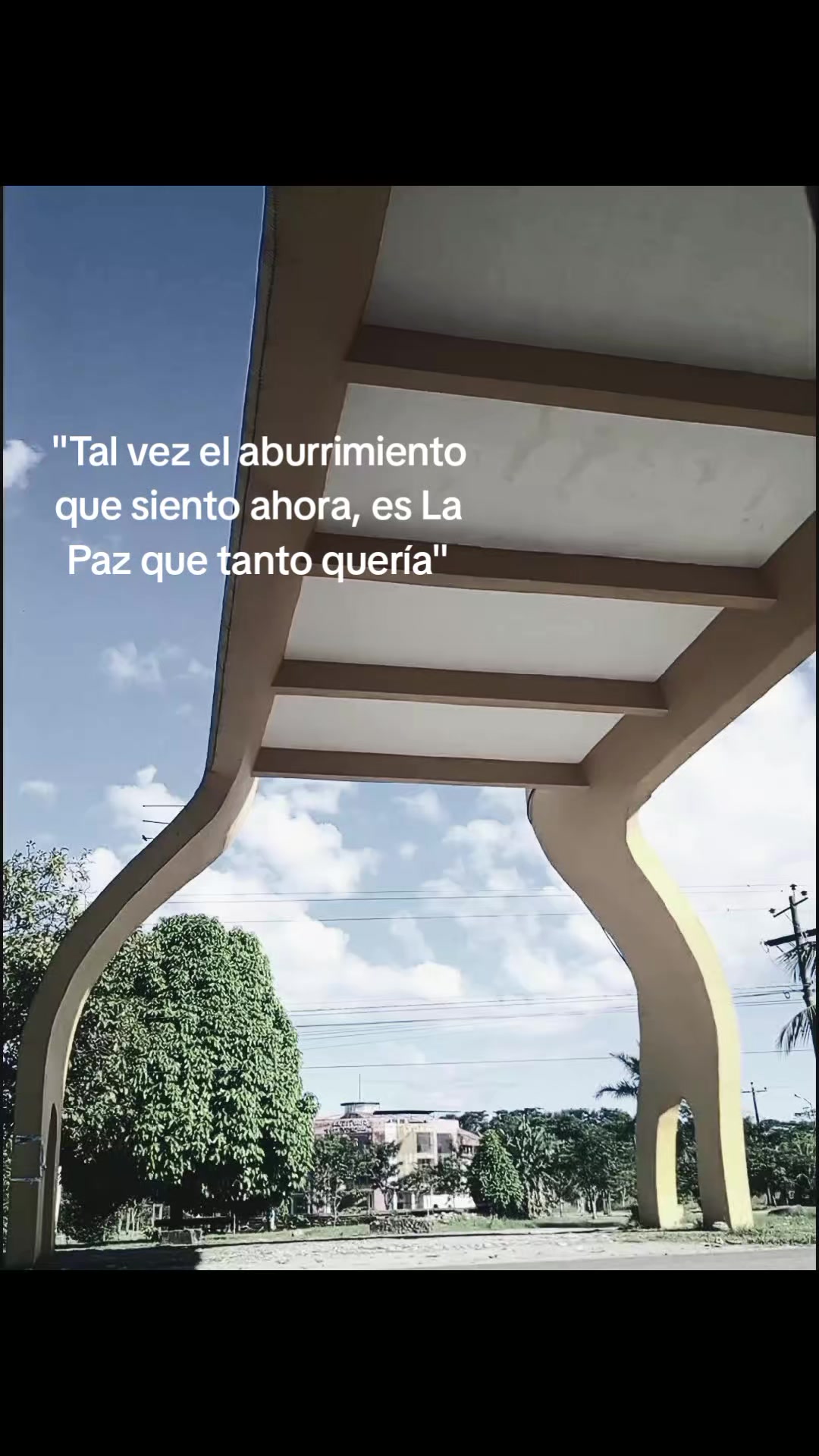 @Alequito