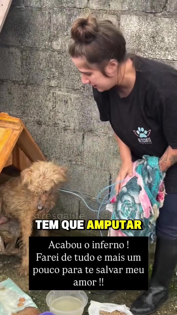 @ABRIGO DA VÓ