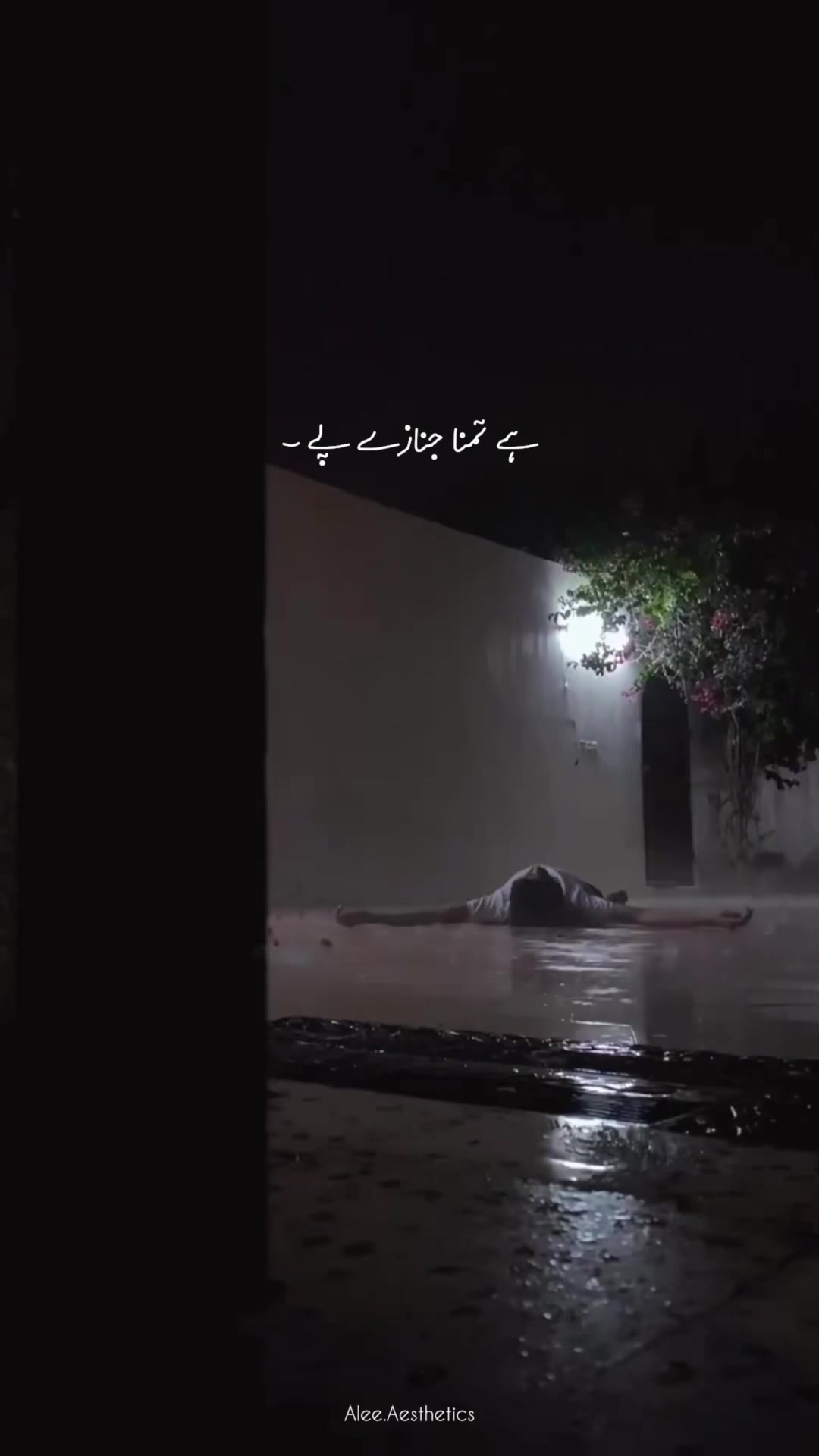 @𝐀 𝐋 𝐄 𝐄 ♡