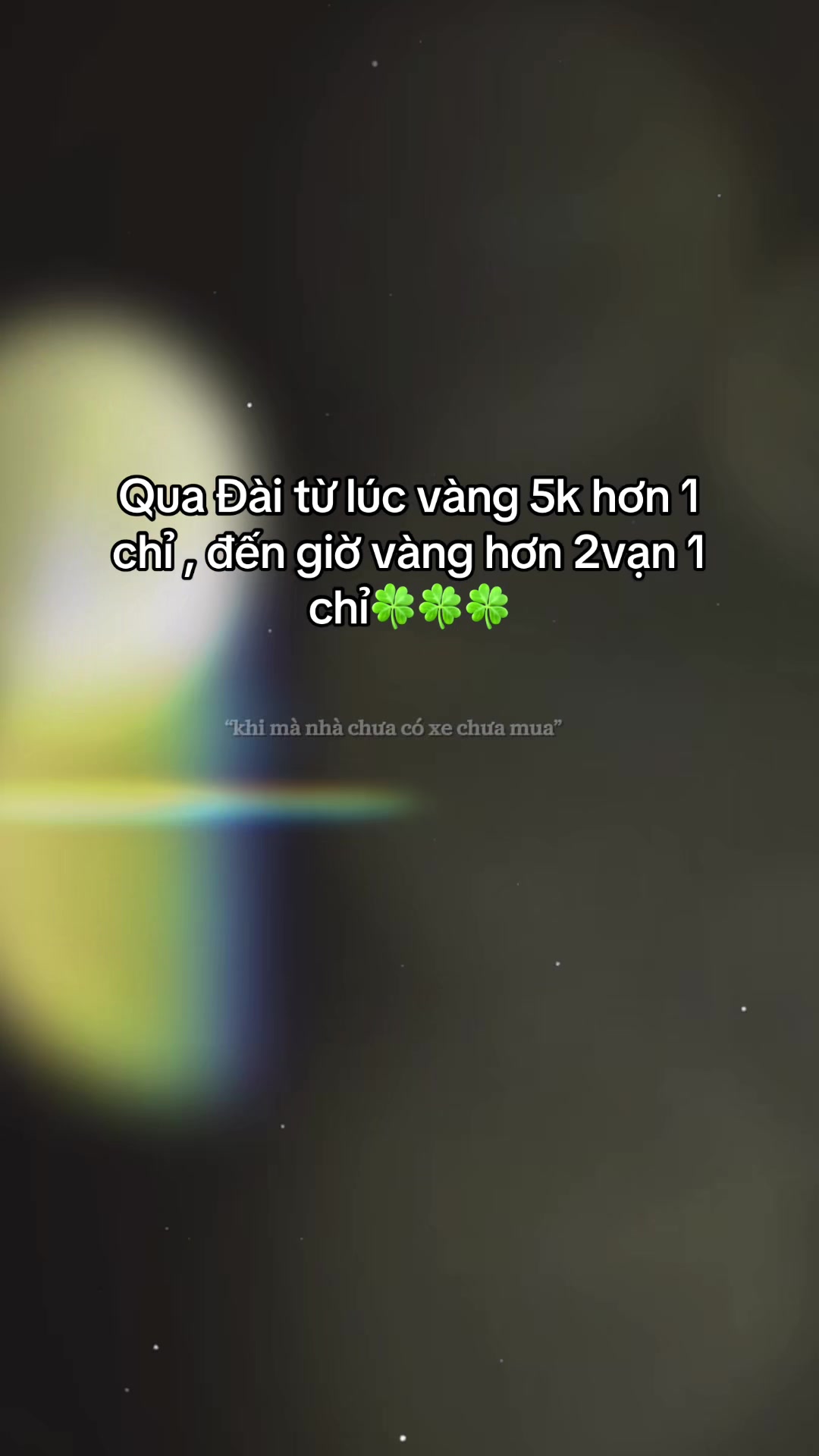 @金蓉