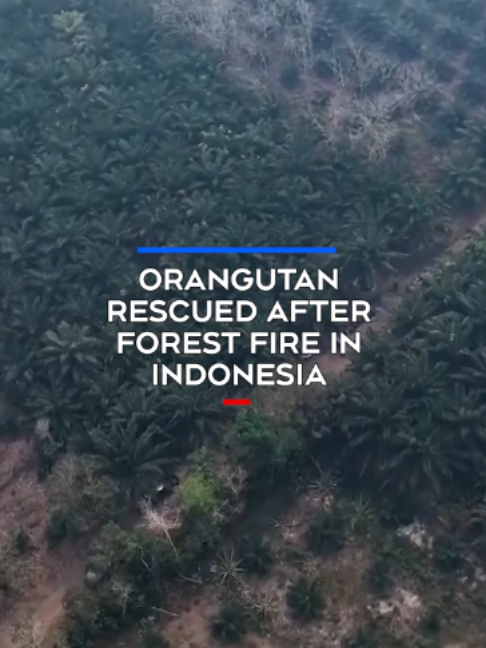 @CTVNews