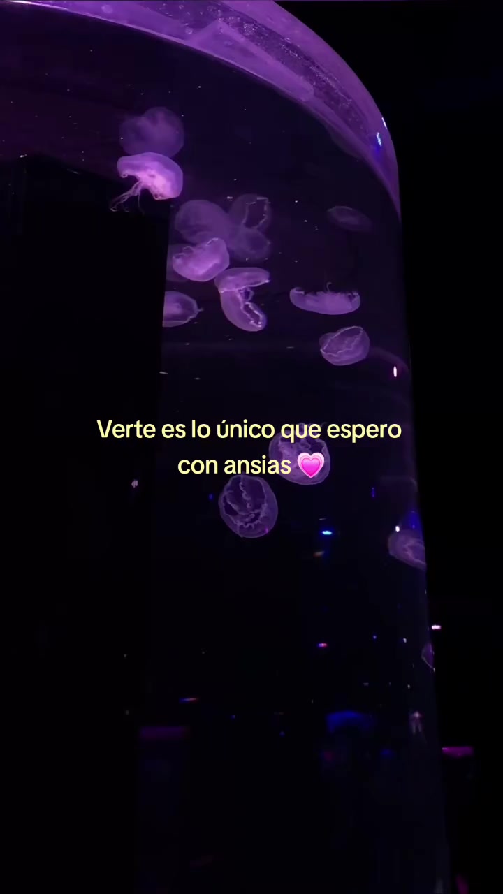 @Juan Carlos