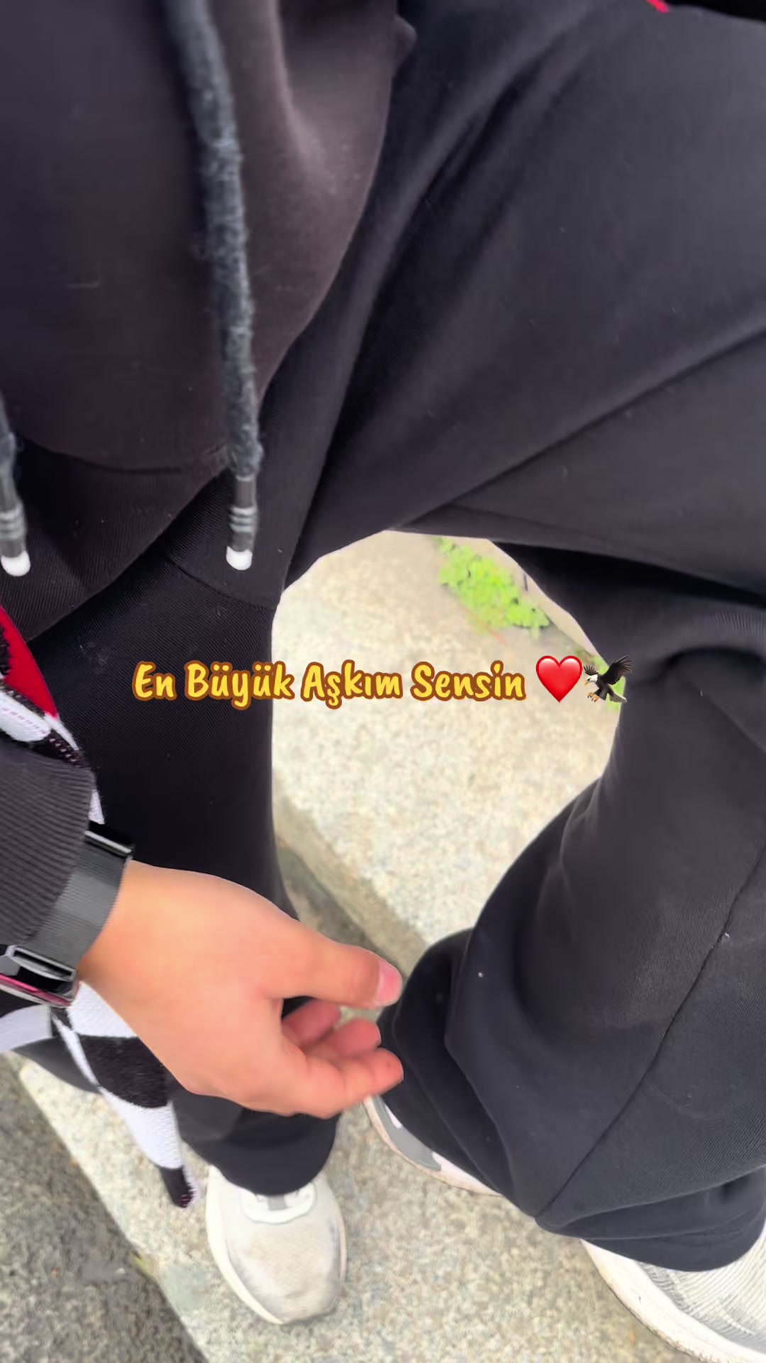 @Seher Boyaci