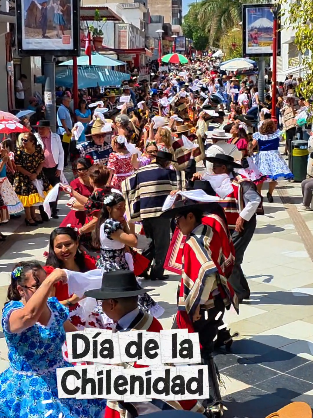 @Arica es Bacán