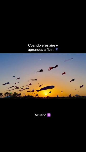 @Lula Muñiz 🪐
