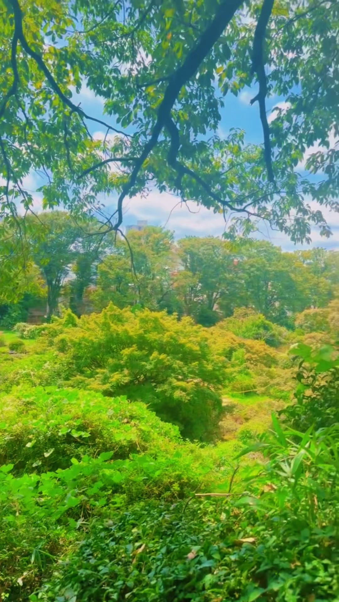 @𝖎𝖒𝖙𝖎𝖘𝖆𝖑🇵🇰🇯🇵
