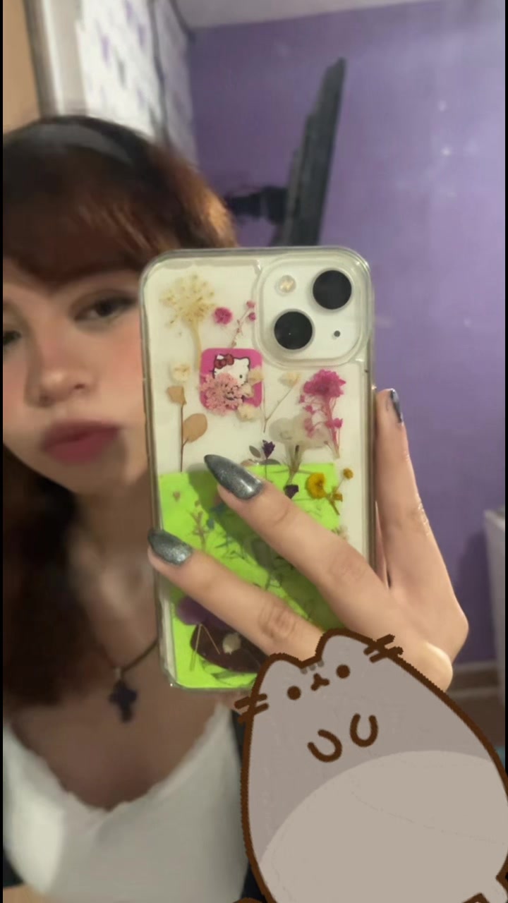 @ana ╋━
