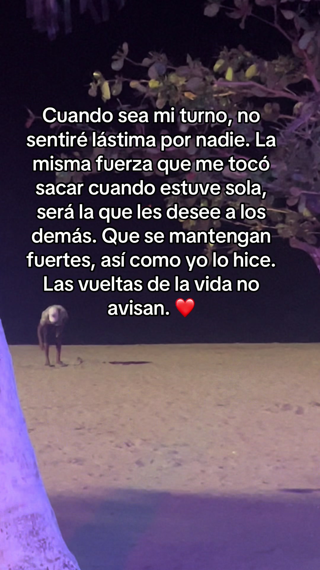@Maria Beltran