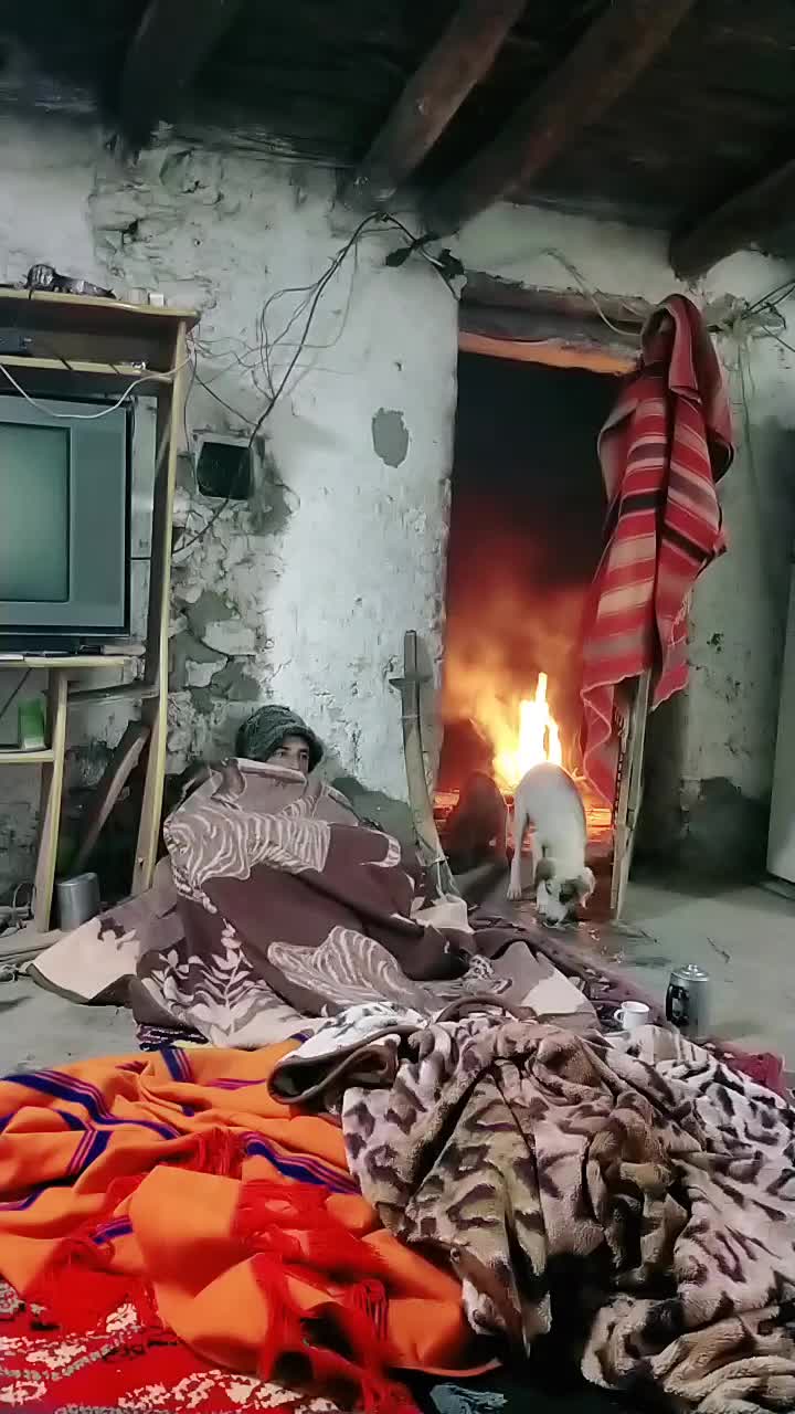 @ايوب جونيمار