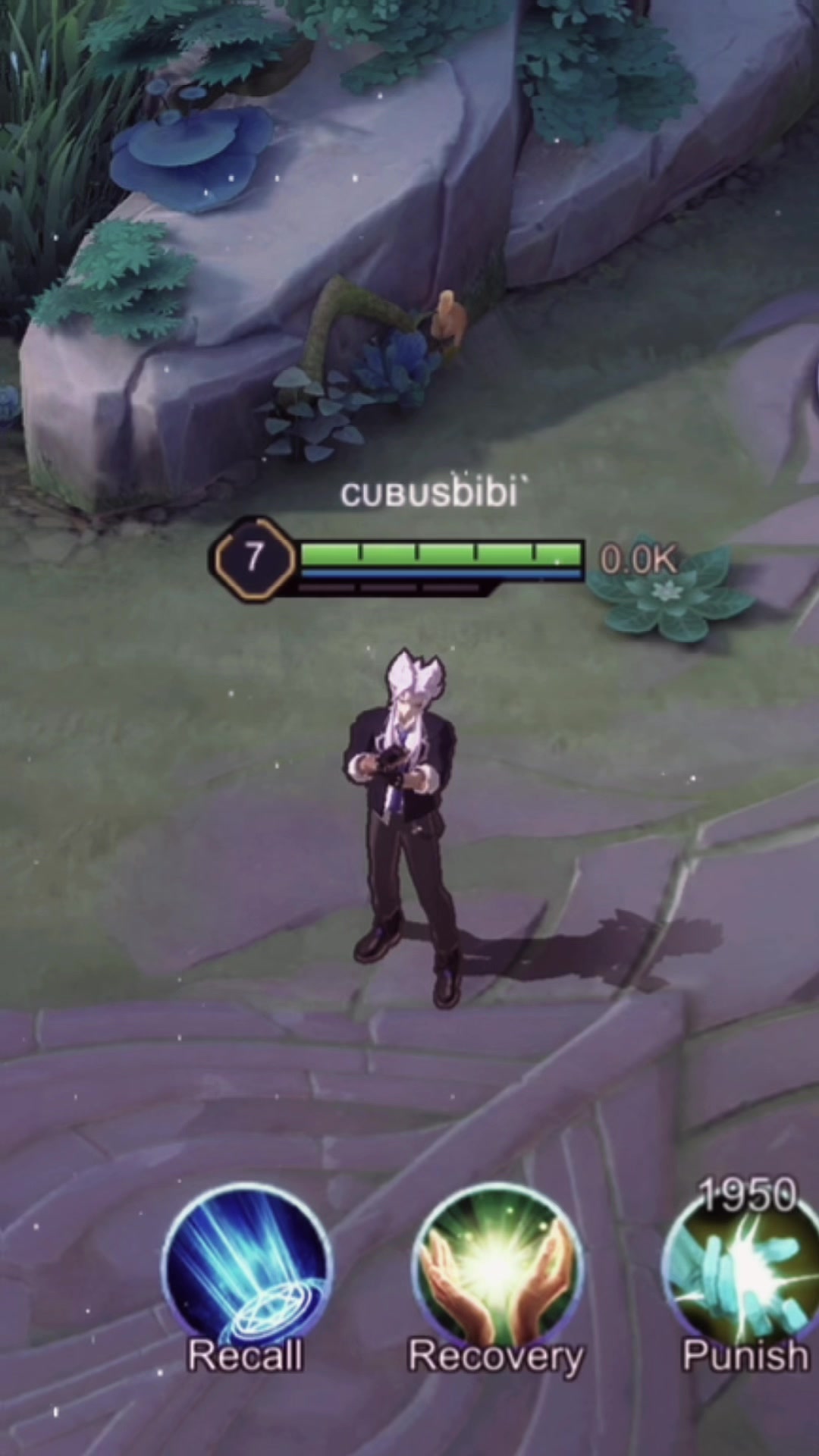 @cubusbibi`