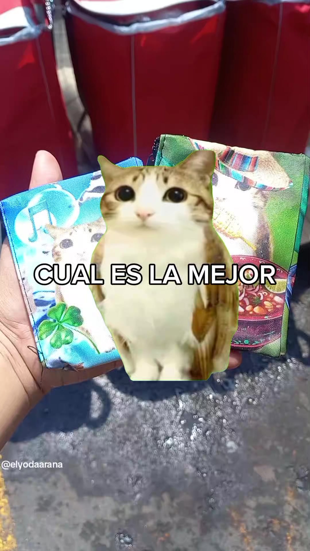 @Elyodaarana