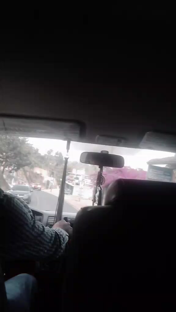 @Sofia Calgua