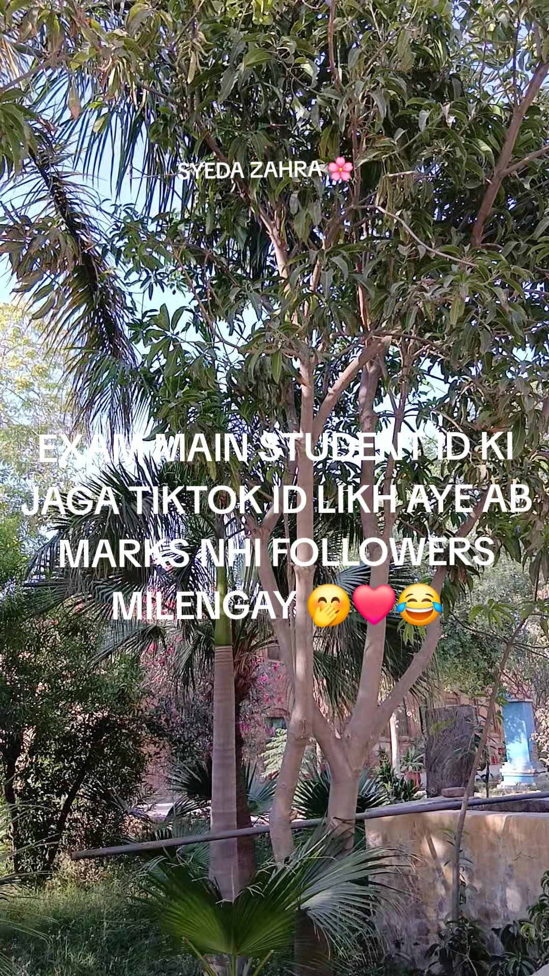 @SYEDA ZAHRA