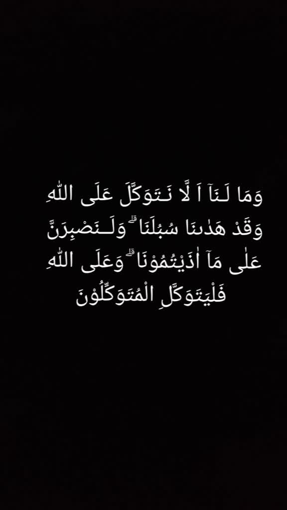 @Rabeeatmuhd31