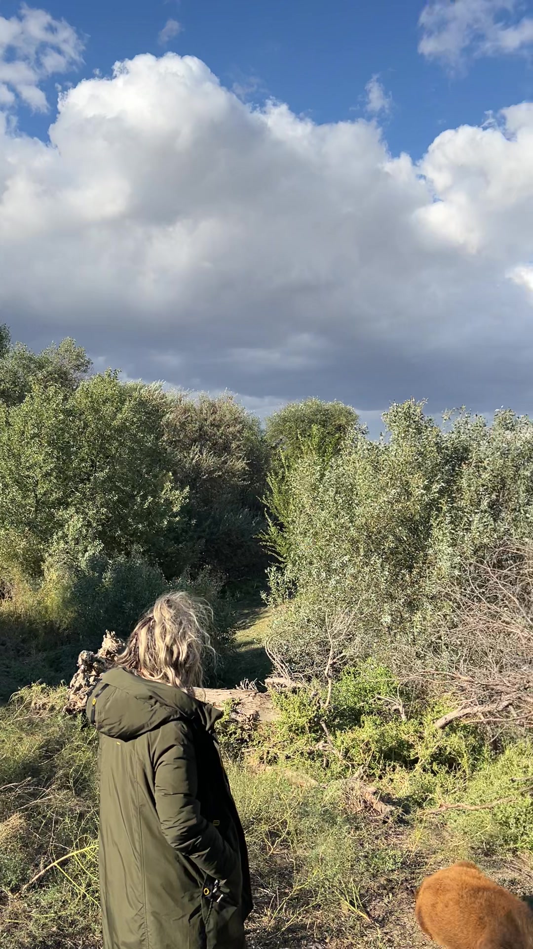 @Алекс