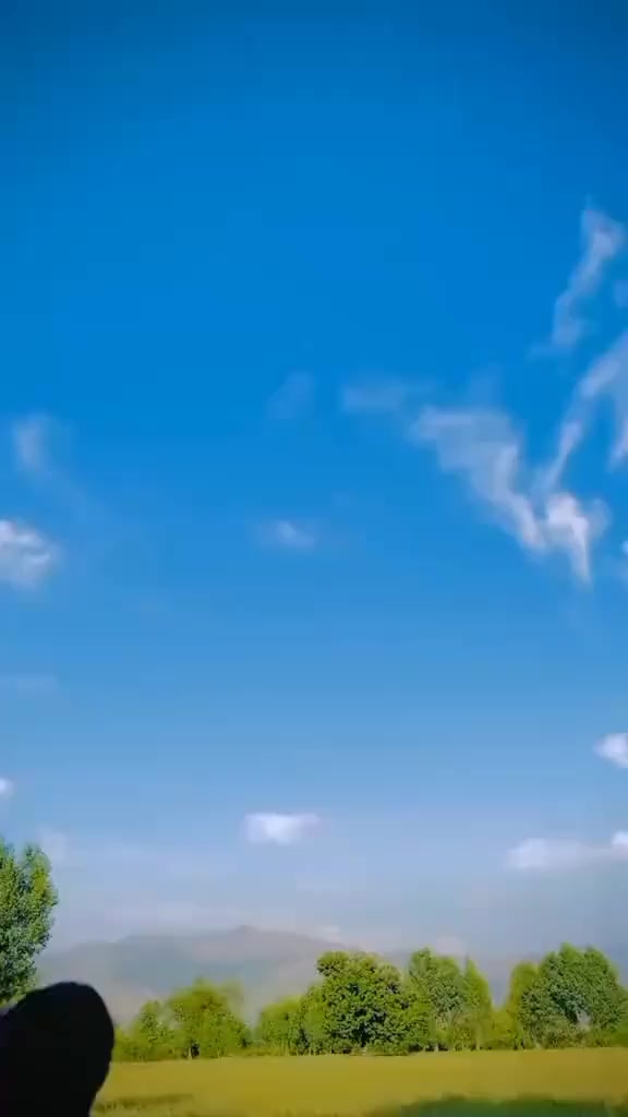 @𝙎𝙮𝘾𝙤𝙊 𝙈𝙚𝙃𝙧𝙊𝙤💀
