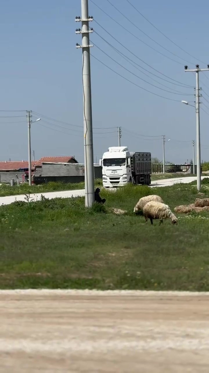 @Murat Polat