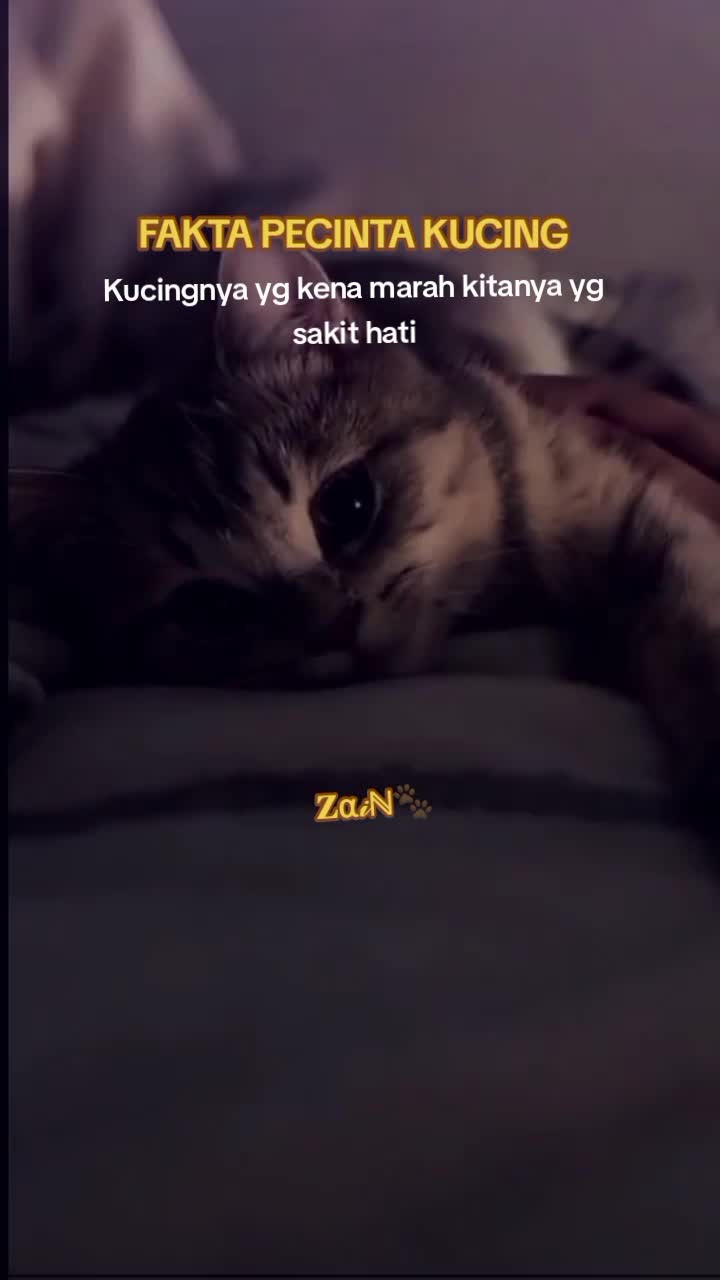 @๐α๐พโ๐พ