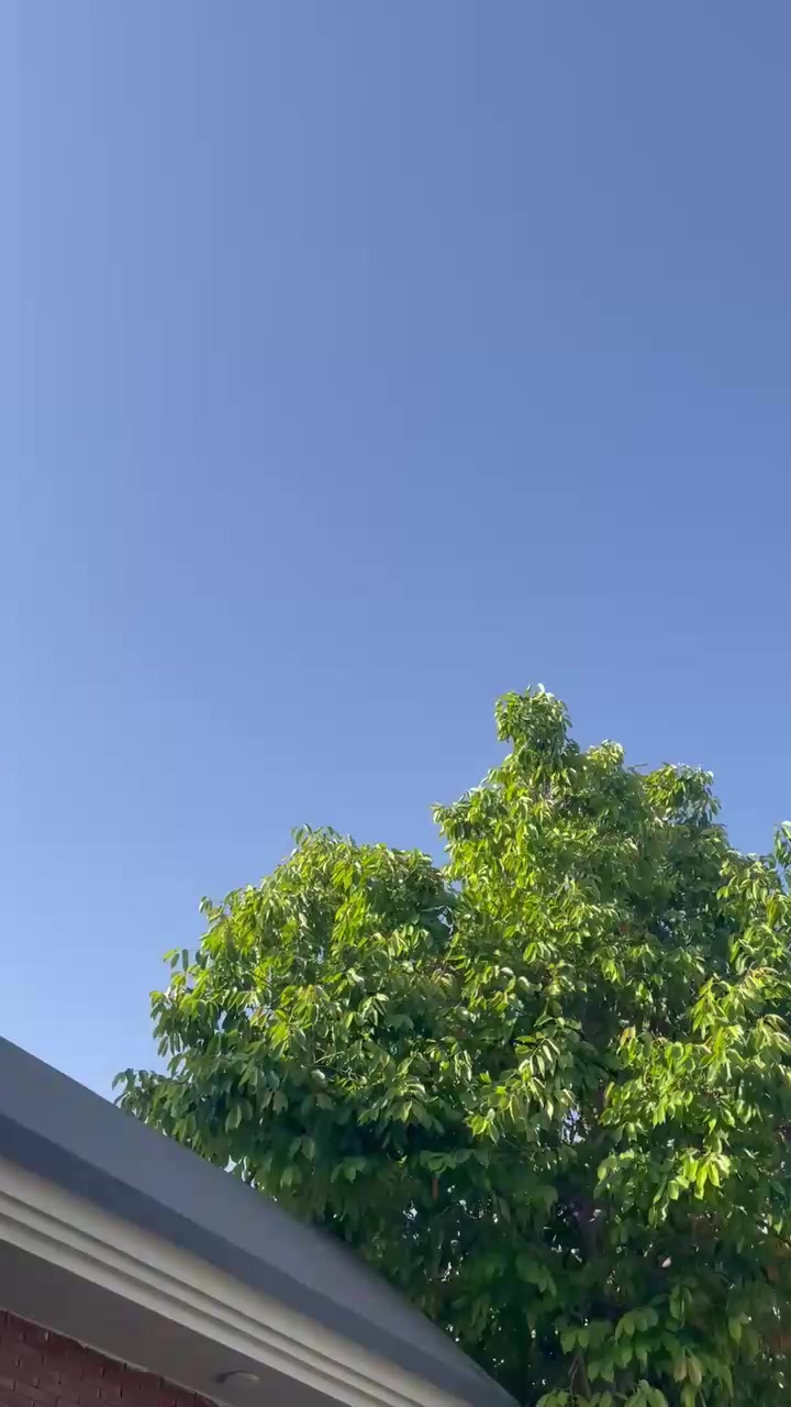 @WARDA SHOAIB