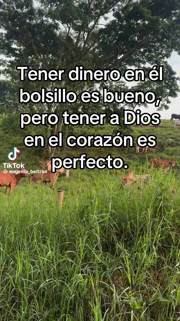 @rosalinda Porfirio 1989