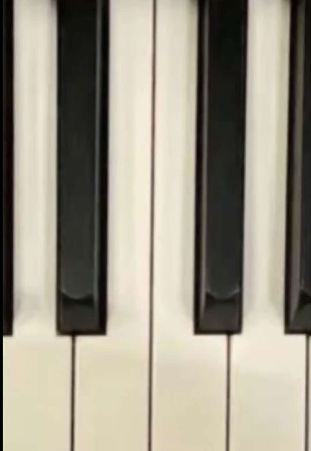 @♫♪丰 𝐇𝐨𝐥𝐥𝐲 丰♫♪