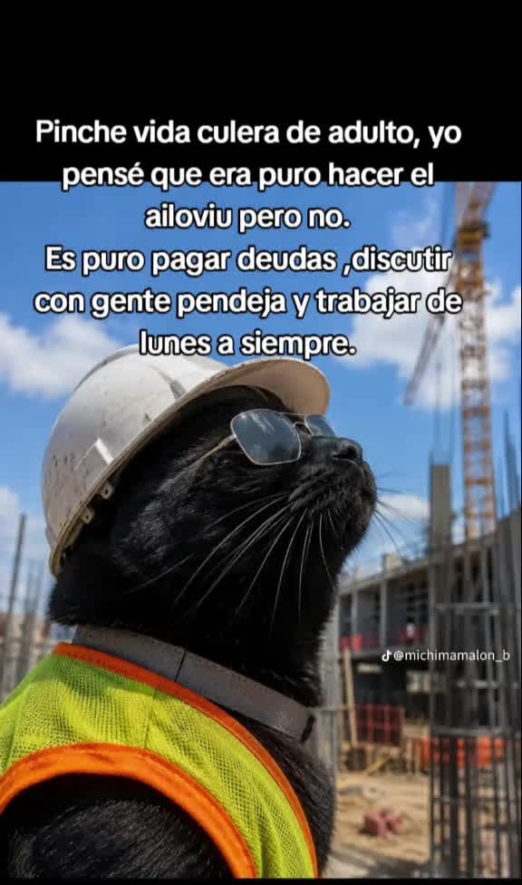 @Vicente el niño de pecho